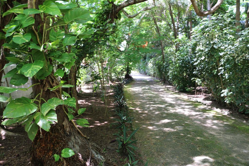 Pousada Ponta De Mangue 马拉戈日 外观 照片